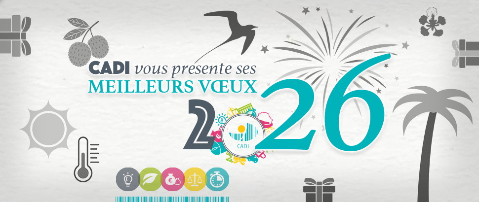 Meilleurs Voeux 2026