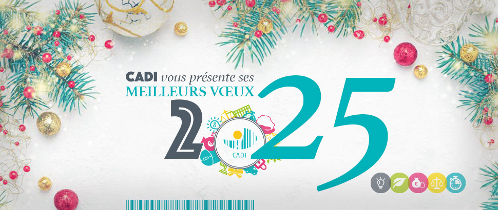 Meilleurs vœux 2025