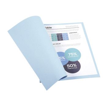 Paquet de 100 chemises 170g