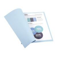 Paquet de 100 chemises 170g