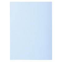 Lot de 100 Sous chemises 60g