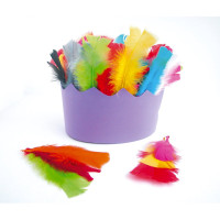 Sachet 25gr plumes 15cm coloris assortis