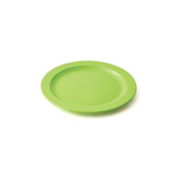 Assiette plate 22.5 cm mélamine