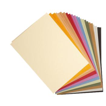 Paquet de 24 papiers dessin 50x65 160g pastel assortis