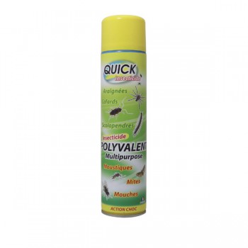 Insecticide polyvalent volants et rampants - 600ml