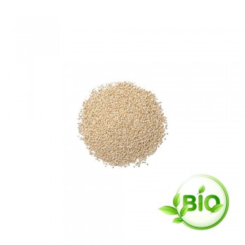 2 sacs de quinoa blanc BIO - 2.5kg