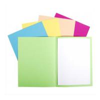 Lot de 100 chemises foldyne 170 assorties