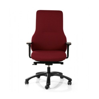Fauteuil ruck ergo 24h
