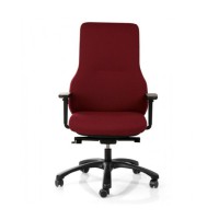 Fauteuil ruck ergo 24h