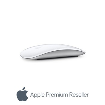 Souris apple magic mouse (usb-c) surface 