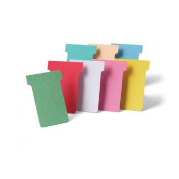 100 fiches T indice 2 bleu